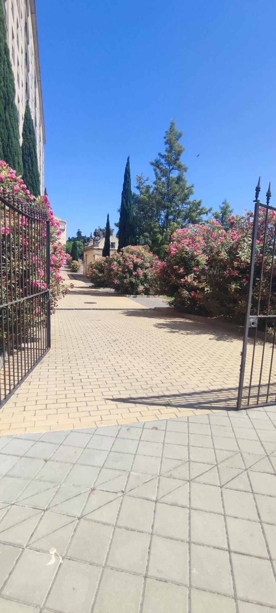 Cuatro Caminos Centro Jerez Apartment Jerez de la Frontera Ngoại thất bức ảnh